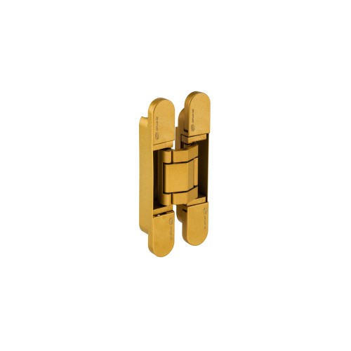 Paslėptas Vyris IN.05.061 - 50kg