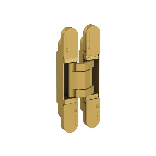 Paslėptas Vyris IN.05.065 - 40kg